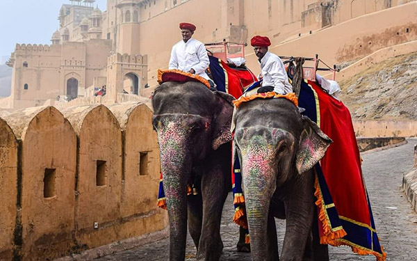 Forts & Palaces of Rajasthan with The Taj Maha