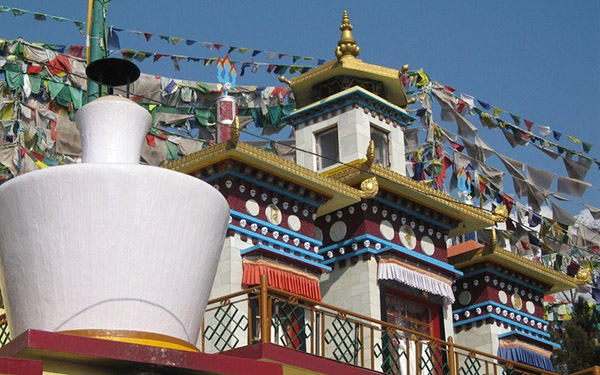 India & Nepal: Colorful Cultures & Wondrous Wildlife