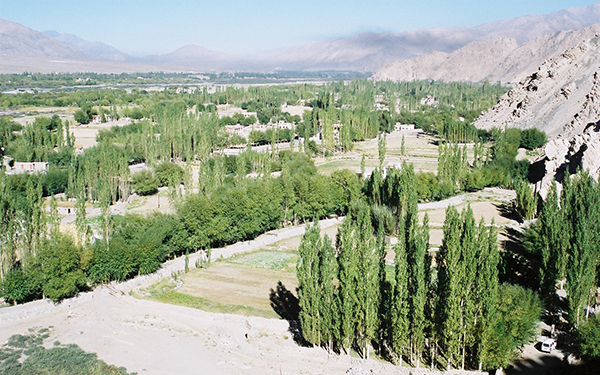 Overland Himalayan Safari to Ladakh and Kashmir