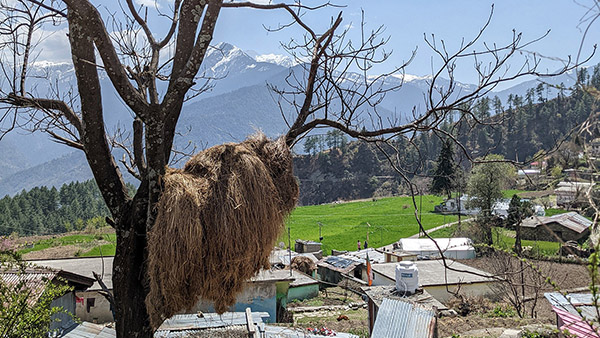 Why Choose Custom India & Nepal Tours?