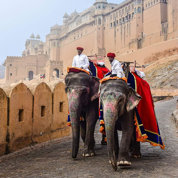 Discover India’s Golden Triangle with Ranthambore – 7N/8D